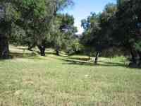 Picnic Area - 4