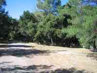 Picnic Area - 7