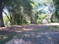 Picnic Area - 9